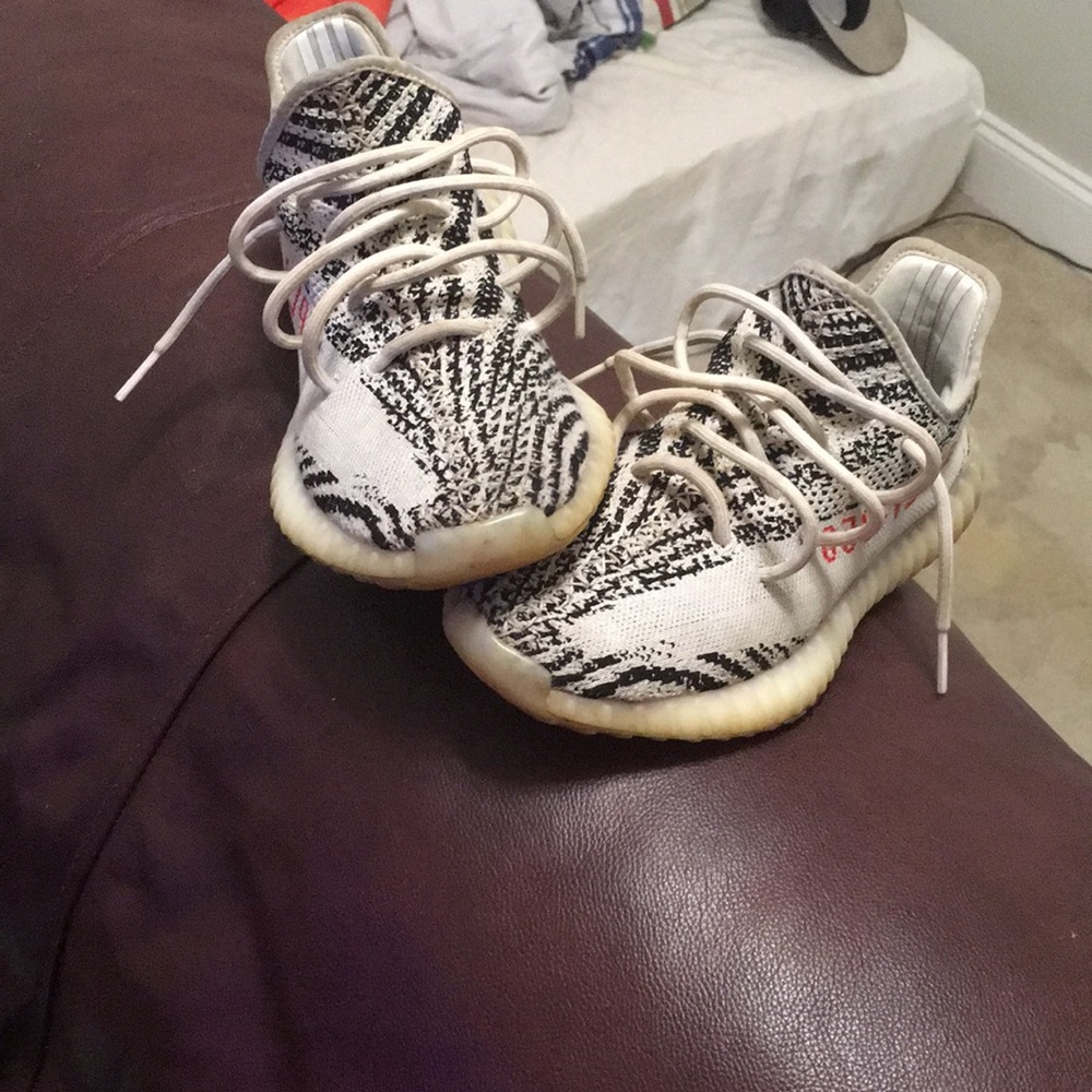 Zebra Yeezy